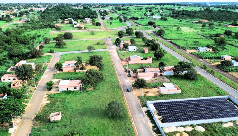 Flor do Cerrado — foto 2