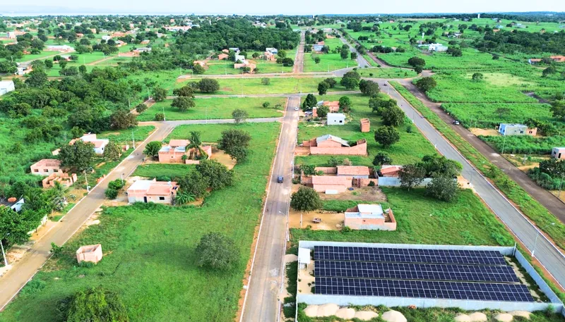 Flor do Cerrado, em Luzimangues
